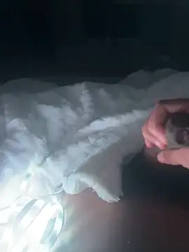 Snapshot of mallllll273838ko chatting on 12/16/24, 11:18 mallllll273838ko online show from 12/16/24, 11:18