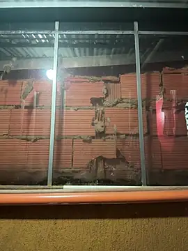 Anily Lovely online show from 02/23/26, 12:34