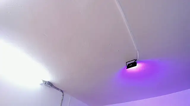 Amy Kiitty  online show from 02/15/26, 12:59