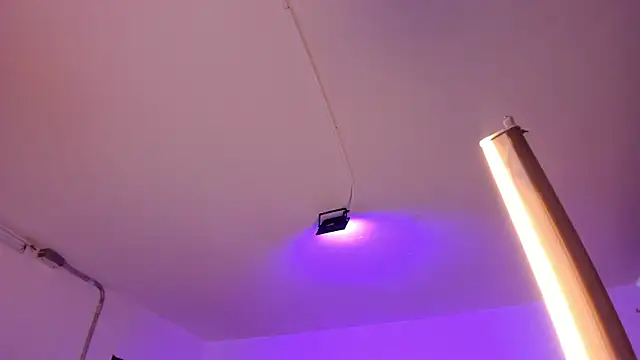 Amy Kiitty  online show from 02/04/26, 12:55