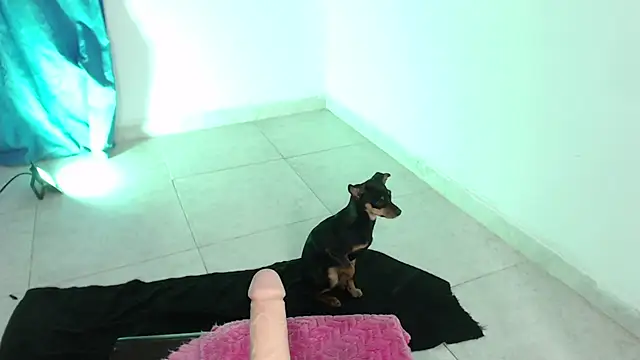 April sexycurvi online show from 11/21/25, 01:37