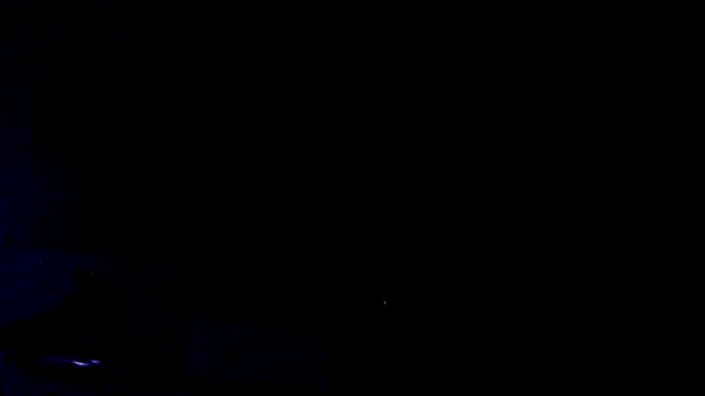Youcunn online show from 04/15/26, 09:15