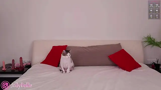 jolly bellle online show from 10/26/25, 01:17