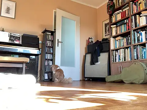 Snapshot of Bula94193 chatting on 03/16/26, 09:13 Bula94193 online show from 03/16/26, 09:13