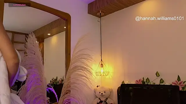 Snapshot of Hannah_williams1 chatting on 11/06/25, 09:41 Hannah williams1 online show from 11/06/25, 09:41