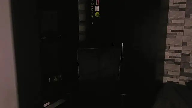 Snapshot of Dimitri_higth420 chatting on 11/21/25, 11:15 Dimitri higth420 online show from 11/21/25, 11:15