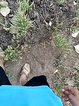 Piyush 2024 online show from 04/03/26, 02:18