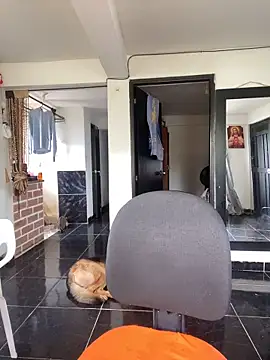 Edward Milleer online show from 11/03/25, 04:32