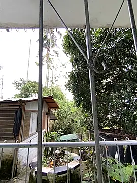 Jestebanano online show from 05/04/26, 04:54