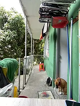 Jestebanano online show from 05/11/26, 02:40
