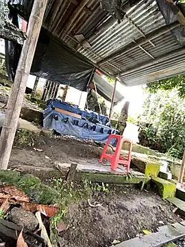 Jestebanano online show from 05/30/26, 12:55