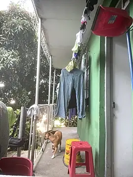 Jestebanano online show from 04/14/26, 12:54