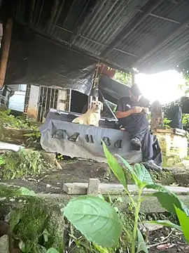 Jestebanano online show from 03/16/26, 12:20