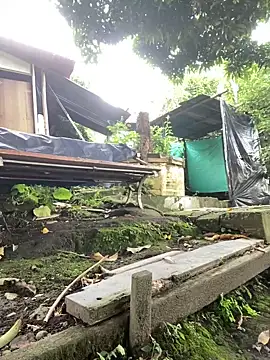 Jestebanano online show from 10/02/25, 12:41