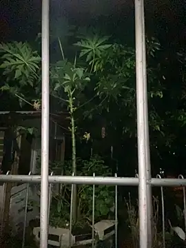 Jestebanano online show from 09/18/25, 12:57