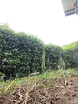 Jestebanano online show from 11/29/25, 03:12