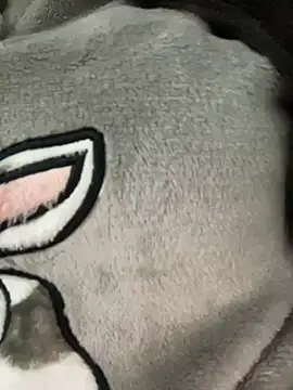 Lina-lolo online show from 03/20/25, 09:46