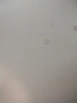 geilerschwanz64 online show from 12/01/25, 09:10