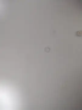 geilerschwanz64 online show from 10/24/25, 07:07