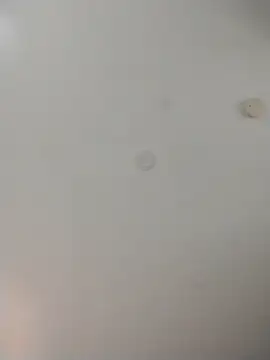 geilerschwanz64 online show from 11/13/25, 10:02