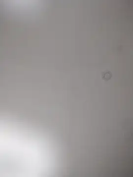 geilerschwanz64 online show from 10/25/25, 08:20