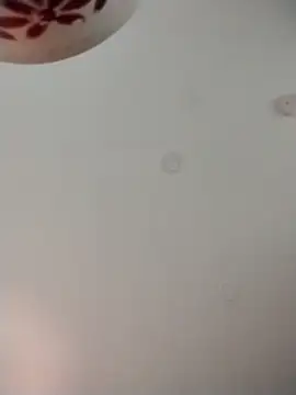 geilerschwanz64 online show from 11/09/25, 01:53