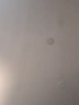 Snapshot of geilerschwanz64 chatting on 03/18/25, 03:55 geilerschwanz64 online show from 03/18/25, 03:55