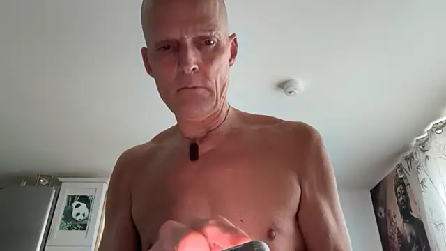 TowaFreespirit online show from 04/14/26, 04:34