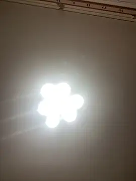 Snapshot of Janet_Welder chatting on 05/10/26, 03:47 Janet Welder online show from 05/10/26, 03:47