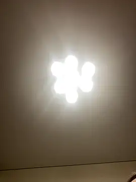 Janet Welder online show from 12/16/24, 07:37