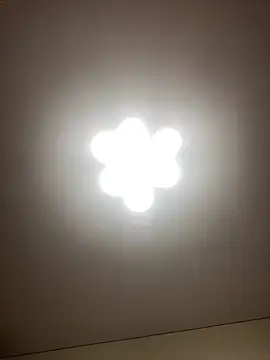 Janet Welder online show from 12/22/24, 12:28