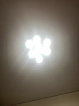 Janet Welder online show from 12/16/24, 04:34