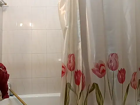 Snapshot of domexib chatting on 02/24/25, 12:48 domexib online show from 02/24/25, 12:48