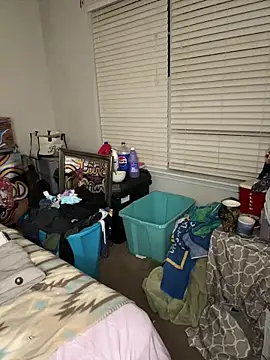 torilux online show from 03/04/25, 03:11