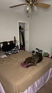 torilux online show from 02/25/25, 08:14