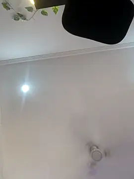 Archi-07 online show from 10/24/25, 08:13