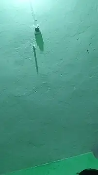 RADHAHO online show from 10/09/25, 07:25