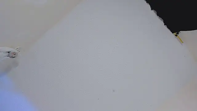 missycanoo online show from 10/22/25, 12:43