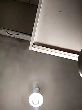 Bellatriz-horse online show from 02/08/26, 05:27