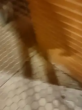 Snapshot of Satiro_Sevilla chatting on 02/17/25, 07:33 Satiro Sevilla online show from 02/17/25, 07:33