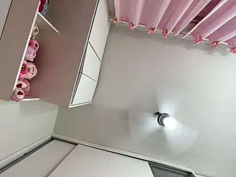 Snapshot of lariic chatting on 03/17/25, 11:13 lariic online show from 03/17/25, 11:13