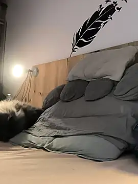 bogland33 online show from 01/09/26, 07:43