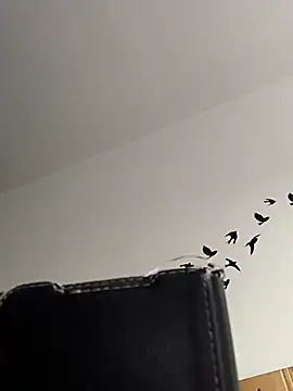 bogland33 online show from 03/05/26, 08:00