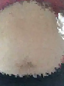 ahross online show from 04/08/26, 09:33