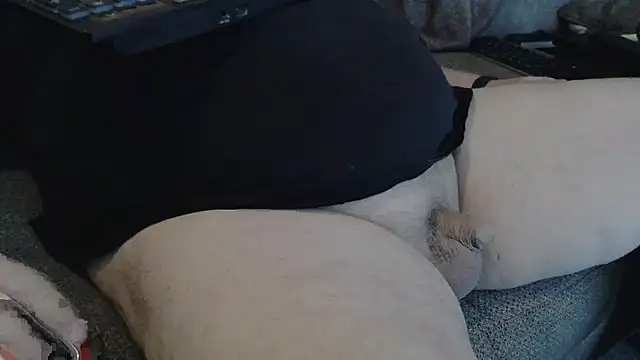 bud4party online show from 11/30/25, 02:45