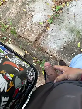 H minas250 online show from 04/12/26, 04:21