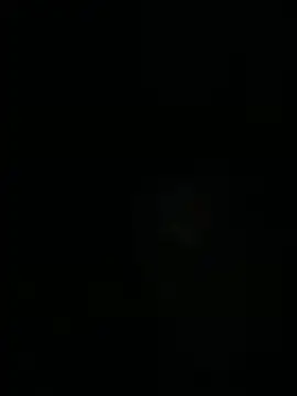 devinshd online show from 04/21/26, 05:14