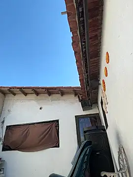 Leo bunny hot online show from 11/13/25, 07:18