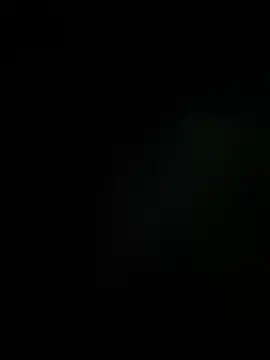 Leo bunny hot online show from 12/16/25, 10:47