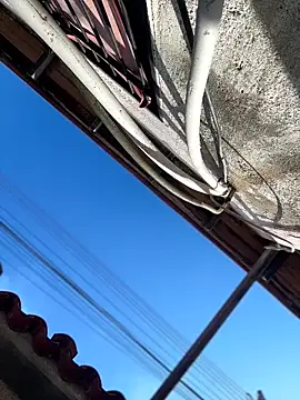 Leo bunny hot online show from 02/13/26, 08:20